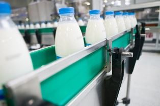 Костромская область заняла шестое место в России по абсолютному приросту молочной продуктивности