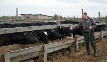 В Костромской области объявлен конкурс на получение грантов для семейных ферм