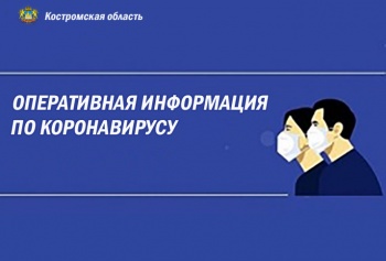 Коронавирусная инфекция диагностирована ещё у 10 жителей Костромской области