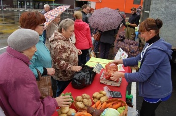 В Костромской области почти в два раза увеличилось количество площадок по продаже сезонных овощей