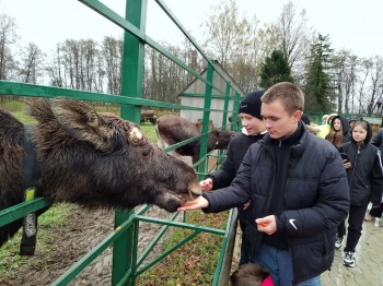 Здравствуй, Кострома туристическая!