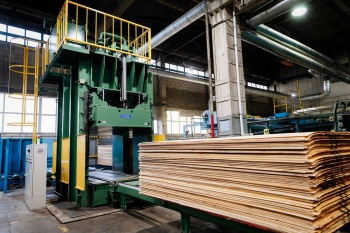 Продукция деревообрабатывающих предприятий Костромской области востребована на международных рынках