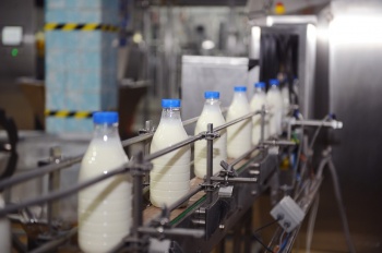 Субсидии производителям молока 