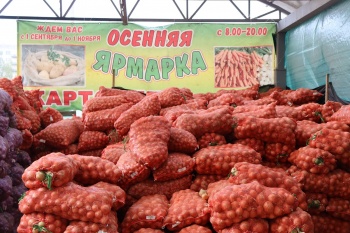 Ярмарки ждут покупателей сельхозпродукции