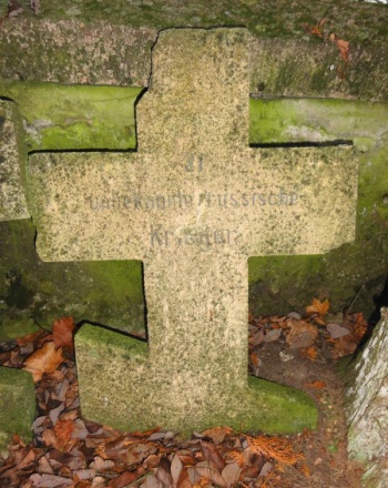 Костромские поисковики назвали имена нескольких галичан, погибших в августе 1914 года и похороненных под Калининградом