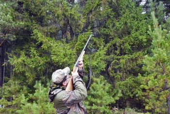 Ограничения на охоту введены еще в нескольких районах области