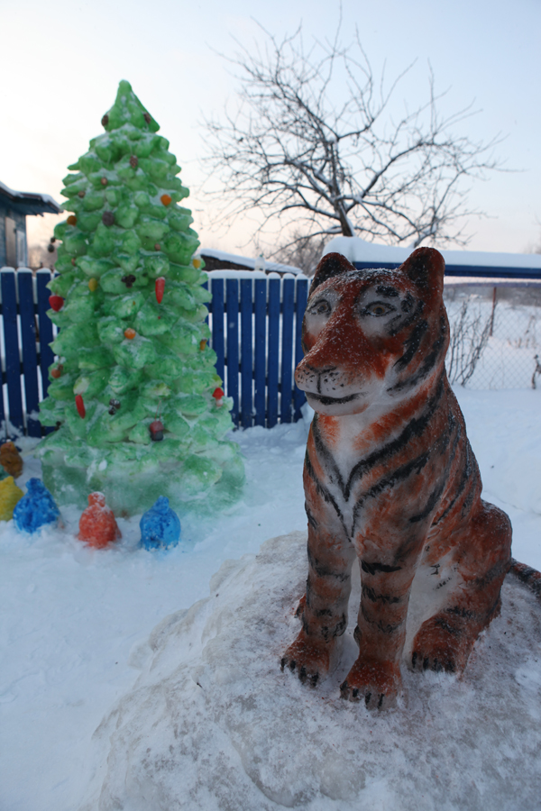 Снежный тигр с добрыми глазами