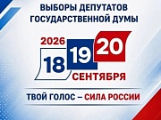 Прозрачно, честно, доступно: третий день голосования проходит под контролем наблюдателей и камер