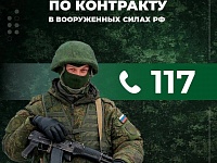 Работа органов власти по поддержке контрактников и их семей 