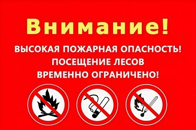 Жаркая погода несет риски серьезных пожаров
