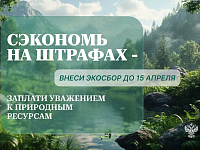 Утилизация отходов снижает нагрузку на природу и улучшает экологическую обстановку
