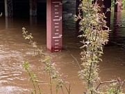 Нас ждет большая вода