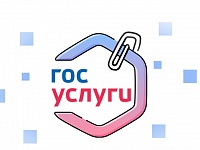 В Костромской области почти 46 тысяч жителей установили приложение «Госуслуги Дом»