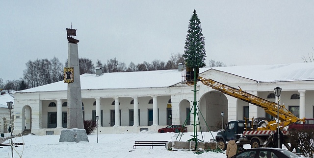 В Галиче началась установка главной городской елки