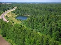 В 2022 году в Костромской области будет восстановлено 25,3 тысяч гектаров леса