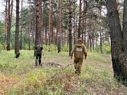 В Костромской области введен особый противопожарный режим