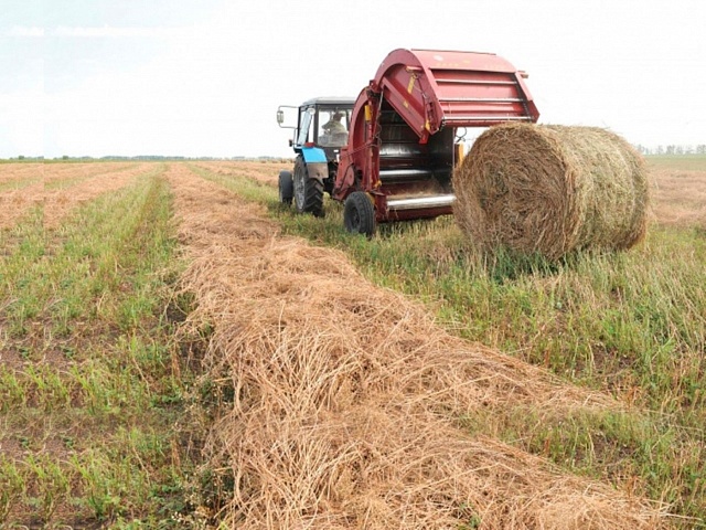 В Костромской области будут наращивать темпы заготовки кормов