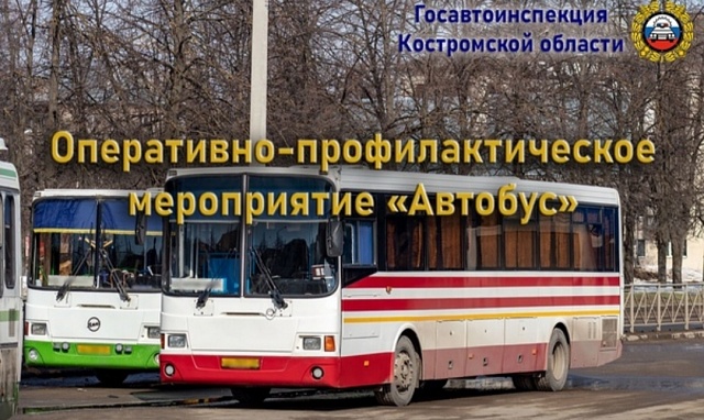 В Костромской области пройдет оперативно-профилактическое мероприятие «Автобус»