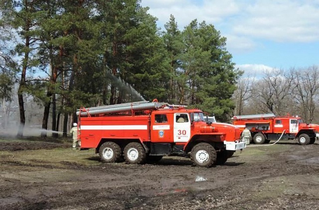 Сергей Ситников обозначил задачи по обеспечению дополнительной пожарной безопасности в лесах