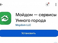 Народный инспектор