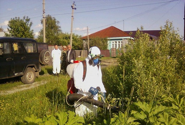 В Костромской области по поручению губернатора увеличены объемы обработки земель от борщевика