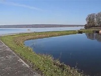 Галичане голосуют за дизайн территории Прошкуратовского пруда