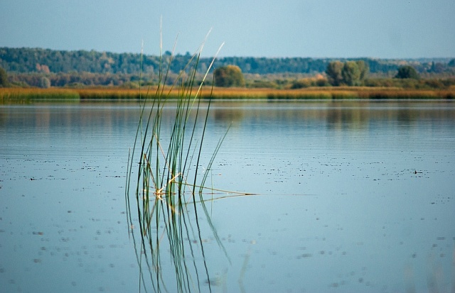 Работа над проектом расчистки Галичского озера начнется уже в будущем году