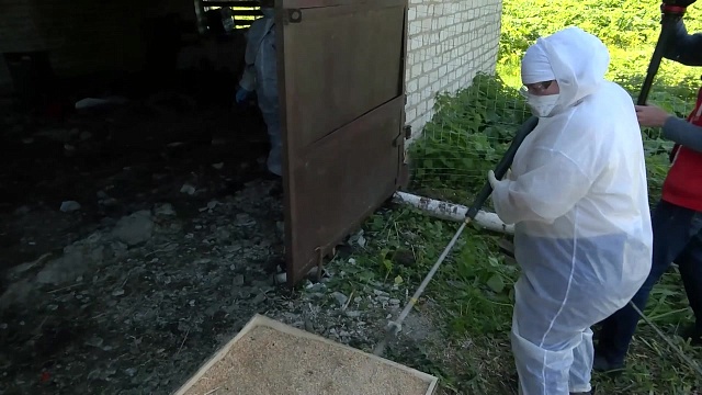 Снят карантин по африканской чуме свиней еще в пяти районах области