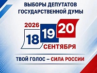 Прозрачно, честно, доступно: третий день голосования проходит под контролем наблюдателей и камер