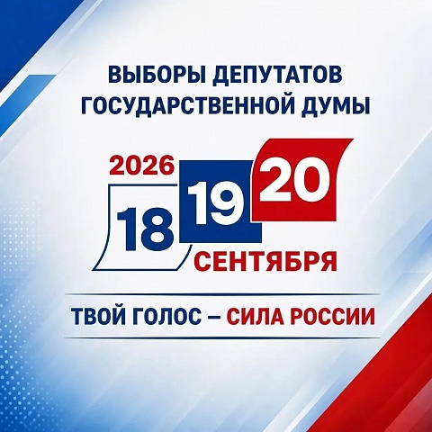Прозрачно, честно, доступно: третий день голосования проходит под контролем наблюдателей и камер