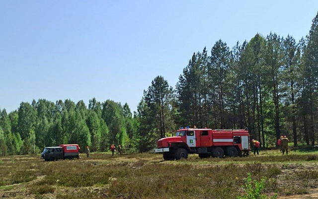 В Костромской области усилят противопожарное патрулирование лесов