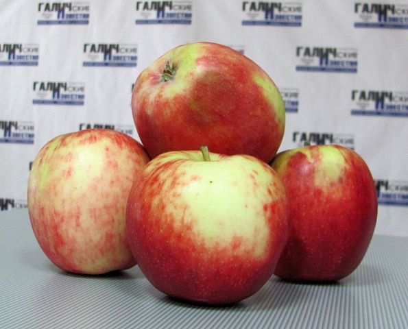 Яблочки от Ефимовны
