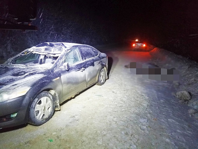 В Галичском районе в аварии погиб лось