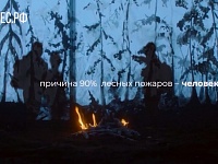 Берегите лес от пожаров!