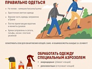 Осторожно: клещи!