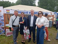 Мечта сбывается в проекте